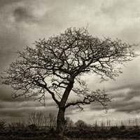 photographe paimpol service photos